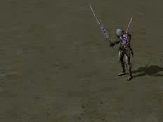 Duelliste