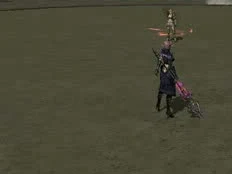 Battlemage