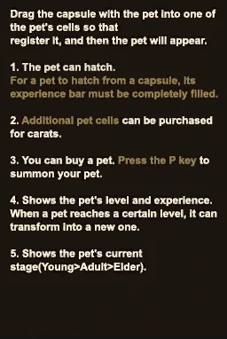 In-game guide